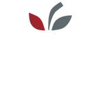 Candyapple & Co.