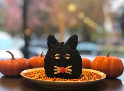 Back-in-Black Cat