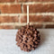 Mocha Chip Apple